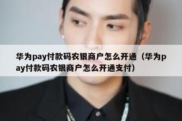 华为pay付款码农银商户怎么开通（华为pay付款码农银商户怎么开通支付） 第1张