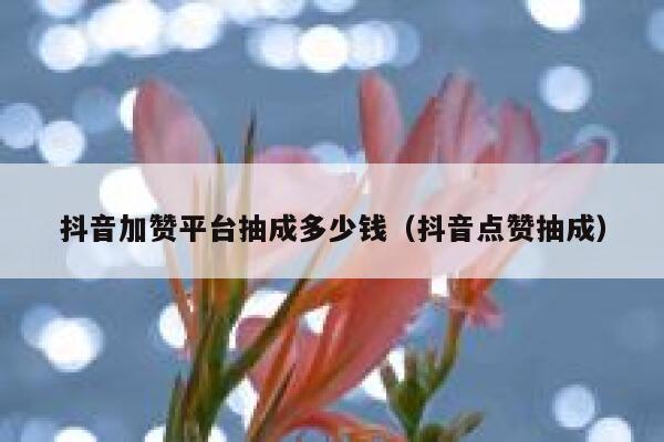 抖音加赞平台抽成多少钱（抖音点赞抽成） 第1张