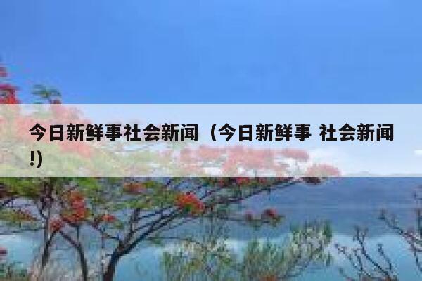 今日新鲜事社会新闻(今日新鲜事 社会新闻!) 第1张 今日新鲜事社会新闻(今日新鲜事 社会新闻!) 第1张