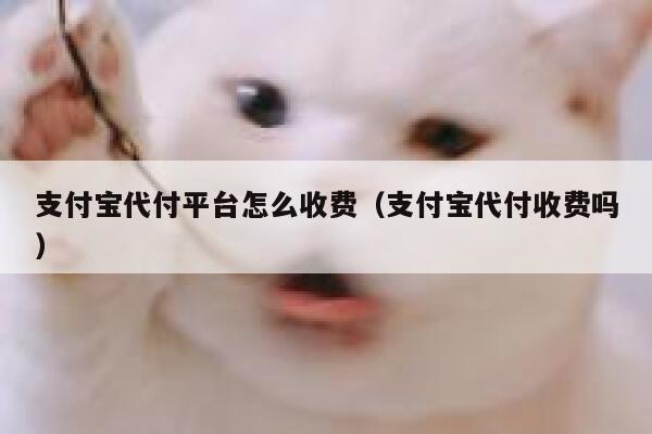 支付宝代付平台怎么收费(支付宝代付收费吗) 第1张 支付宝代付平台怎么收费(支付宝代付收费吗) 第1张