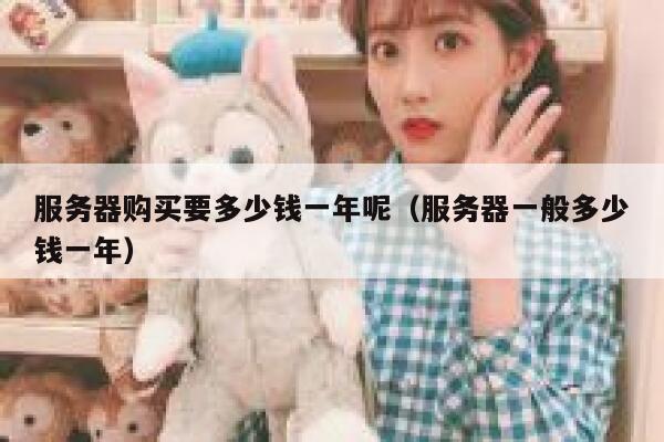 服务器购买要多少钱一年呢（服务器一般多少钱一年） 第1张