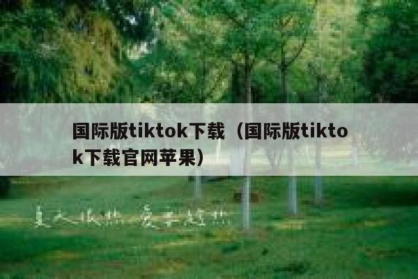 国际版tiktok下载（国际版tiktok下载官网苹果） 第1张