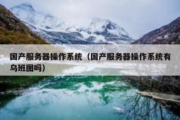 国产服务器操作系统（国产服务器操作系统有乌班图吗） 第1张