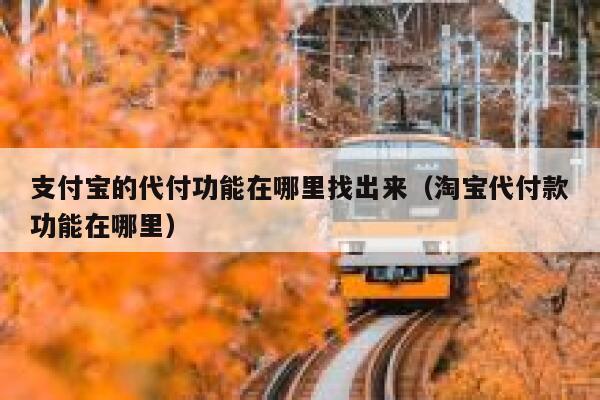 支付宝的代付功能在哪里找出来（淘宝代付款功能在哪里） 第1张