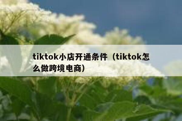 tiktok小店开通条件（tiktok怎么做跨境电商） 第1张