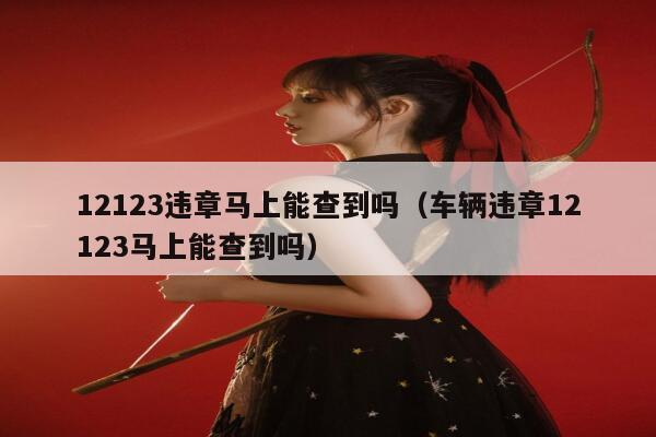 12123违章马上能查到吗（车辆违章12123马上能查到吗） 第1张