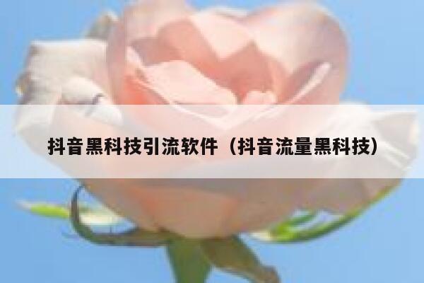 抖音黑科技引流软件（抖音流量黑科技） 第1张