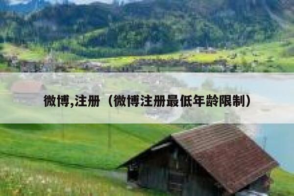 微博,注册（微博注册最低年龄限制） 第1张