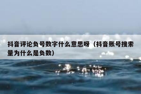 抖音评论负号数字什么意思呀(抖音账号搜索量为什么是负数) 第1张 抖音评论负号数字什么意思呀(抖音账号搜索量为什么是负数) 第1张