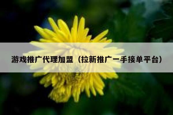 游戏推广代理加盟（拉新推广一手接单平台） 第1张