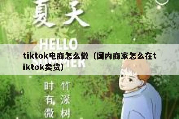tiktok电商怎么做（国内商家怎么在tiktok卖货） 第1张