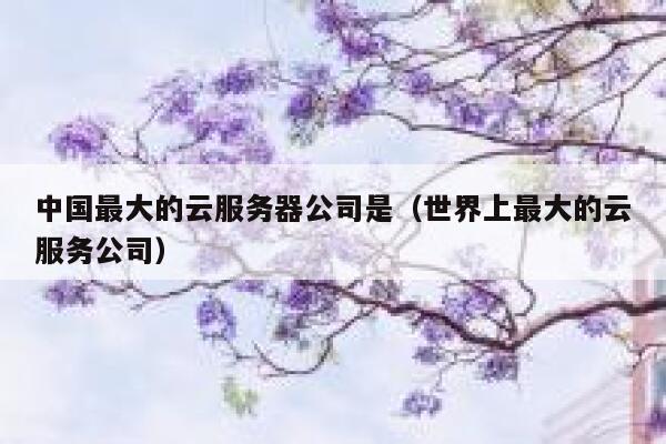 中国最大的云服务器公司是（世界上最大的云服务公司） 第1张