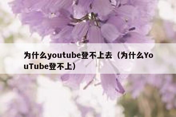 为什么youtube登不上去（为什么YouTube登不上） 第1张
