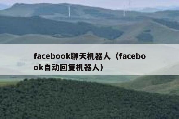 facebook聊天机器人（facebook自动回复机器人） 第1张