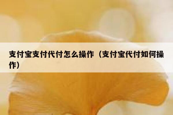支付宝支付代付怎么操作（支付宝代付如何操作） 第1张