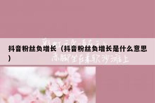 抖音粉丝负增长（抖音粉丝负增长是什么意思） 第1张