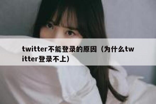 twitter不能登录的原因（为什么twitter登录不上） 第1张