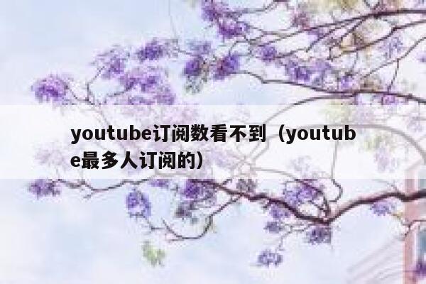 youtube订阅数看不到（youtube最多人订阅的） 第1张