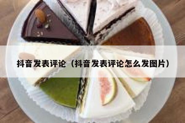 抖音发表评论(抖音发表评论怎么发图片) 第1张 抖音发表评论(抖音发表评论怎么发图片) 第1张