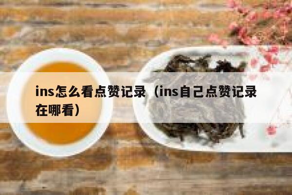 ins怎么看点赞记录（ins自己点赞记录在哪看） 第1张