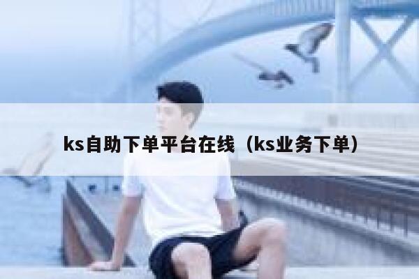 ks自助下单平台在线(ks业务下单) 第1张 ks自助下单平台在线(ks业务下单) 第1张