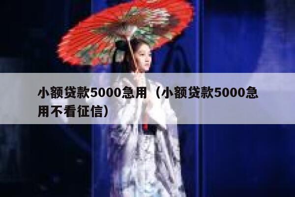 小额贷款5000急用(小额贷款5000急用不看征信) 第1张 小额贷款5000急用(小额贷款5000急用不看征信) 第1张