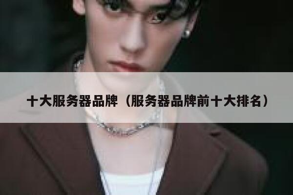 十大服务器品牌（服务器品牌前十大排名） 第1张