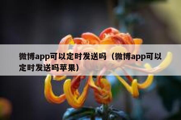 微博app可以定时发送吗(微博app可以定时发送吗苹果) 第1张 微博app可以定时发送吗(微博app可以定时发送吗苹果) 第1张