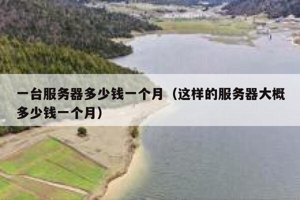 一台服务器多少钱一个月（这样的服务器大概多少钱一个月） 第1张