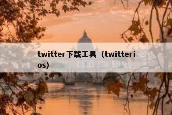 twitter下载工具（twitterios） 第1张
