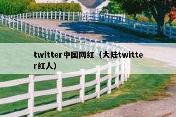 twitter中国网红(大陆twitter红人) 第1张 twitter中国网红(大陆twitter红人) 第1张