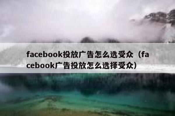 facebook投放广告怎么选受众(facebook广告投放怎么选择受众) 第1张 facebook投放广告怎么选受众(facebook广告投放怎么选择受众) 第1张