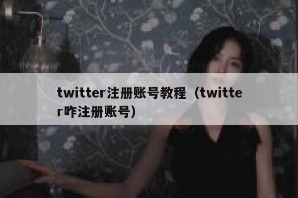 twitter注册账号教程（twitter咋注册账号） 第1张