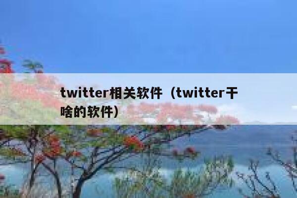 twitter相关软件（twitter干啥的软件） 第1张