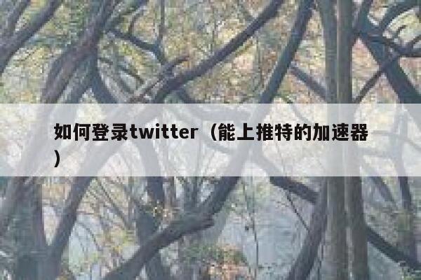如何登录twitter(能上推特的加速器) 第1张 如何登录twitter(能上推特的加速器) 第1张