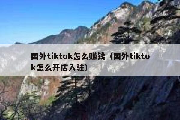 国外tiktok怎么赚钱（国外tiktok怎么开店入驻） 第1张