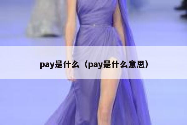 pay是什么（pay是什么意思） 第1张