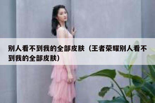 别人看不到我的全部皮肤（王者荣耀别人看不到我的全部皮肤） 第1张