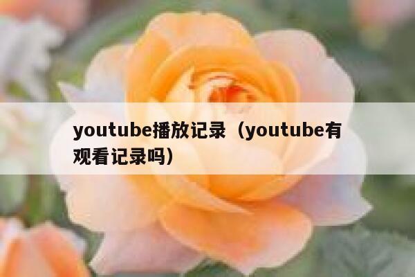 youtube播放记录（youtube有观看记录吗） 第1张