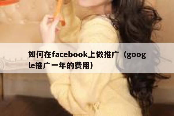 如何在facebook上做推广（google推广一年的费用） 第1张