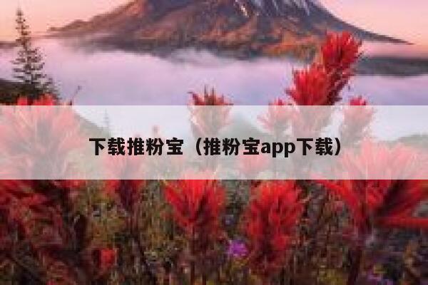 下载推粉宝(推粉宝app下载) 第1张 下载推粉宝(推粉宝app下载) 第1张