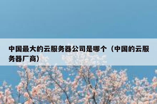中国最大的云服务器公司是哪个（中国的云服务器厂商） 第1张