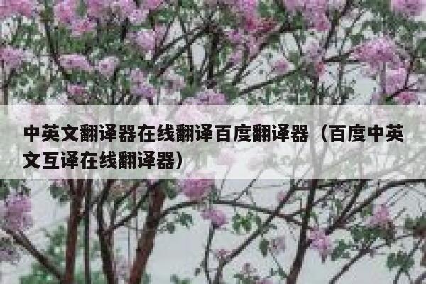 中英文翻译器在线翻译百度翻译器（百度中英文互译在线翻译器） 第1张