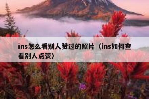ins怎么看别人赞过的照片(ins如何查看别人点赞) 第1张 ins怎么看别人赞过的照片(ins如何查看别人点赞) 第1张