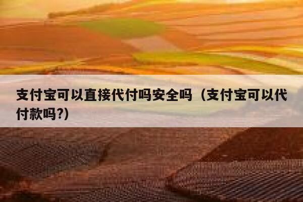 支付宝可以直接代付吗安全吗（支付宝可以代付款吗?） 第1张