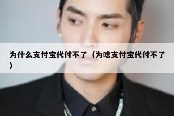 为什么支付宝代付不了(为啥支付宝代付不了) 第1张 为什么支付宝代付不了(为啥支付宝代付不了) 第1张