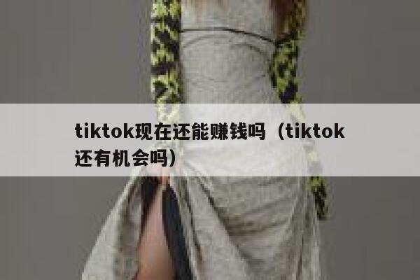 tiktok现在还能赚钱吗(tiktok还有机会吗) 第1张 tiktok现在还能赚钱吗(tiktok还有机会吗) 第1张
