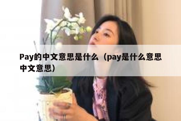 Pay的中文意思是什么（pay是什么意思中文意思） 第1张