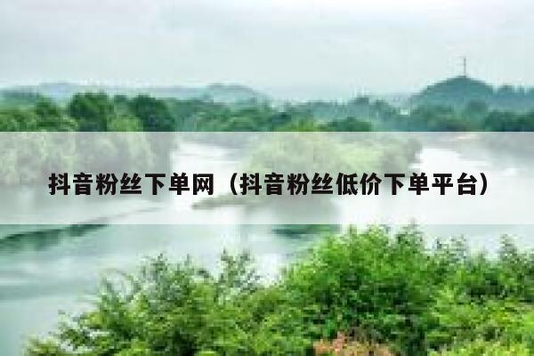 抖音粉丝下单网（抖音粉丝低价下单平台） 第1张