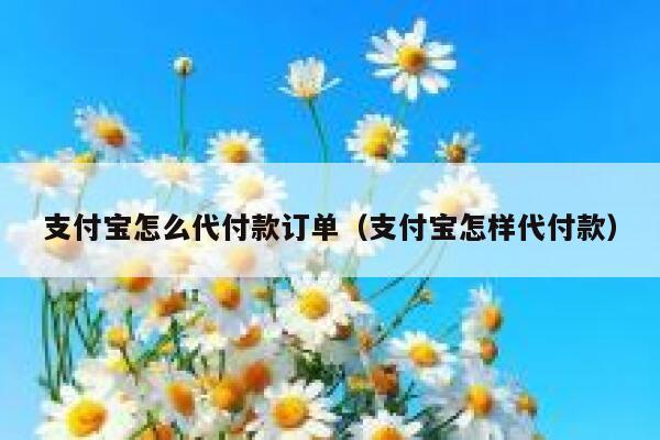 支付宝怎么代付款订单（支付宝怎样代付款） 第1张